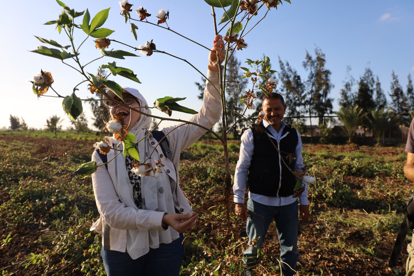 In Egypt, Ventile is supporting the production of cotton cultivated at self-sustaining farms using biodynamic principles. © Ventile